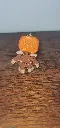 20240928_100039.webp