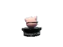 GOPR7384_1749278226354.webp