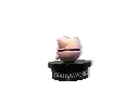 GOPR7383_1749278226354.webp