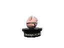 GOPR7386_1749278226354.webp