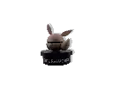 GOPR7408_1749624053228.webp