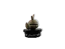 GOPR7407_1749624053228.webp