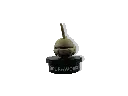 GOPR7409_1749624053228.webp