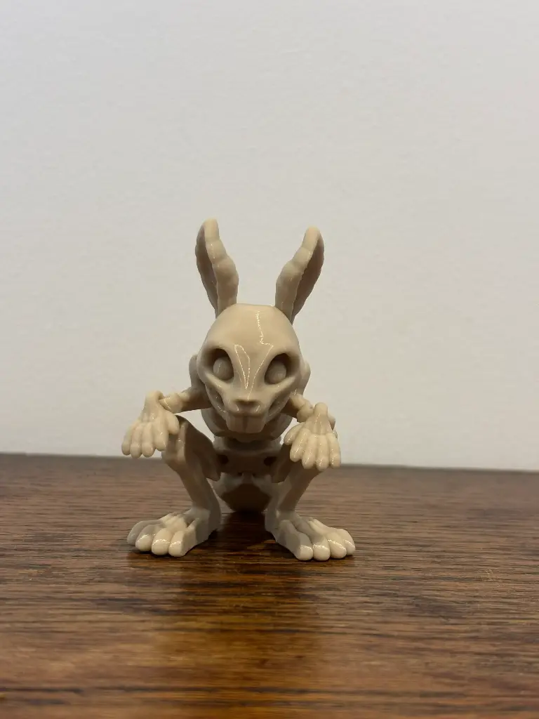Squelette de lapin