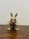 Squelette de lapin
