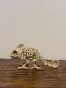 Squelette de caméléon