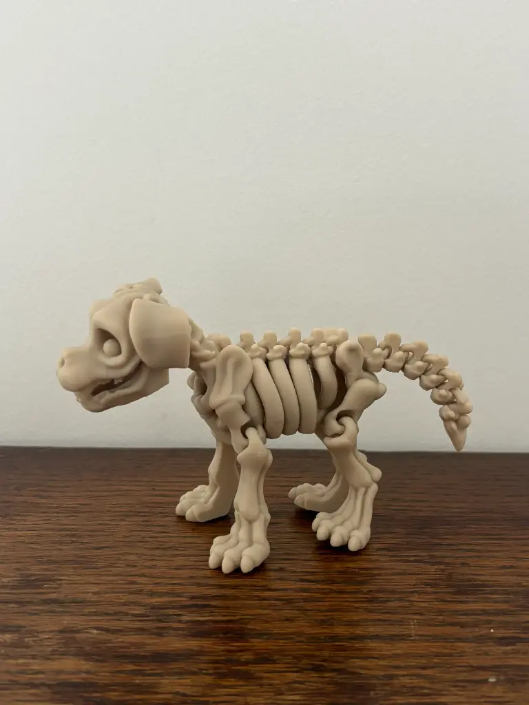 Squelette de chien