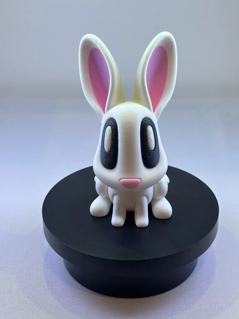 Bunny