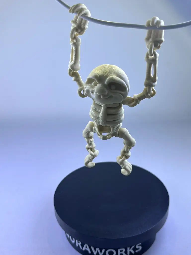 Squelette de paresseux