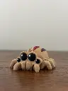 Arachnis