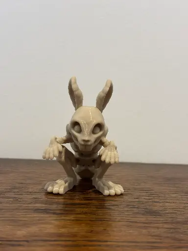 Squelette de lapin