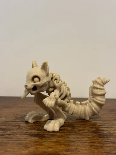Squelette d'écureuil
