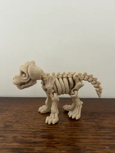 Squelette de chien