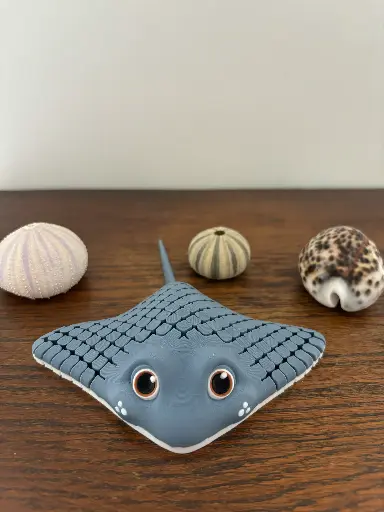 Ray