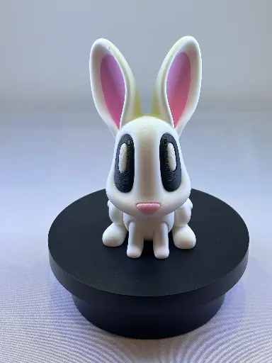 Bunny