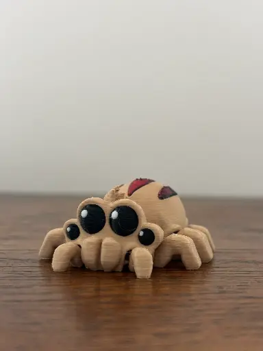 Arachnis