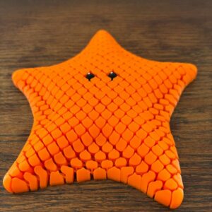 Betsie the Bat Sea Star