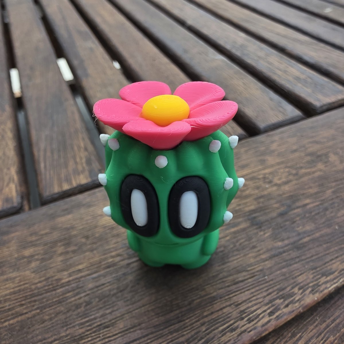 Cactus fleuri