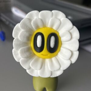 Paquerette