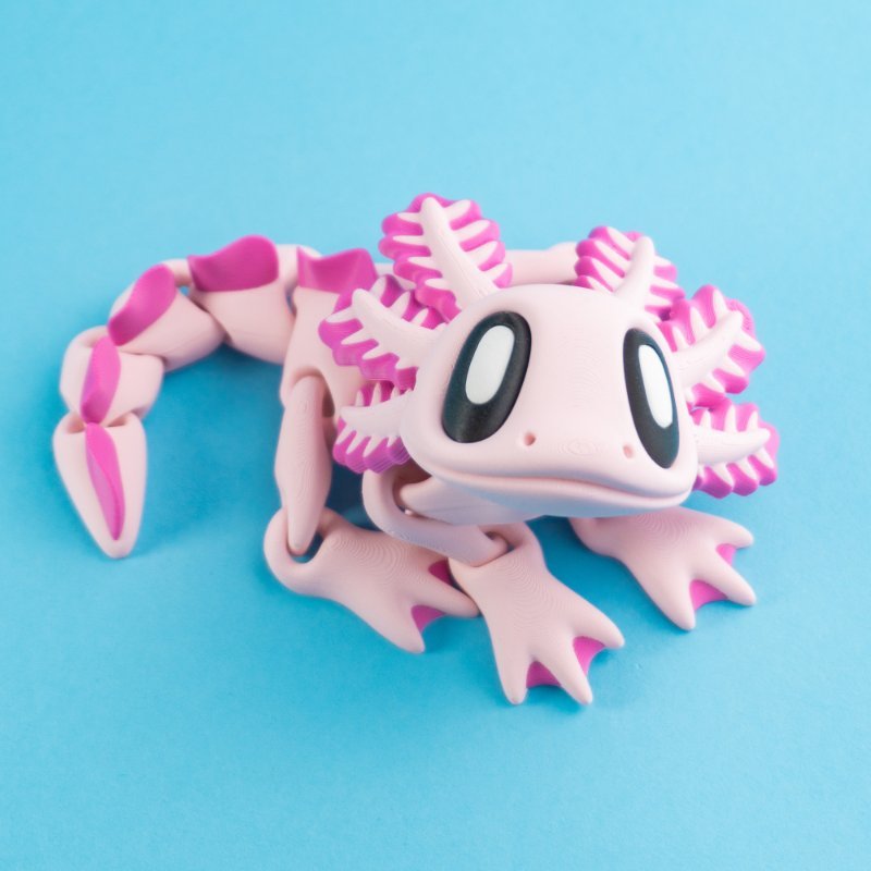 Axolotl