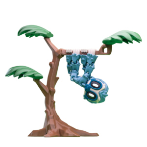 Paresseux et son arbre