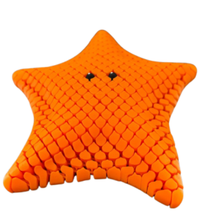 Betsie the Bat Sea Star