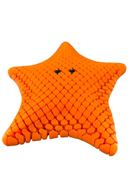 Betsie the Bat Sea Star