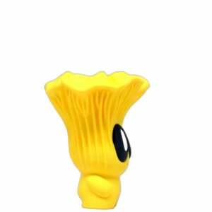 Chanterelle