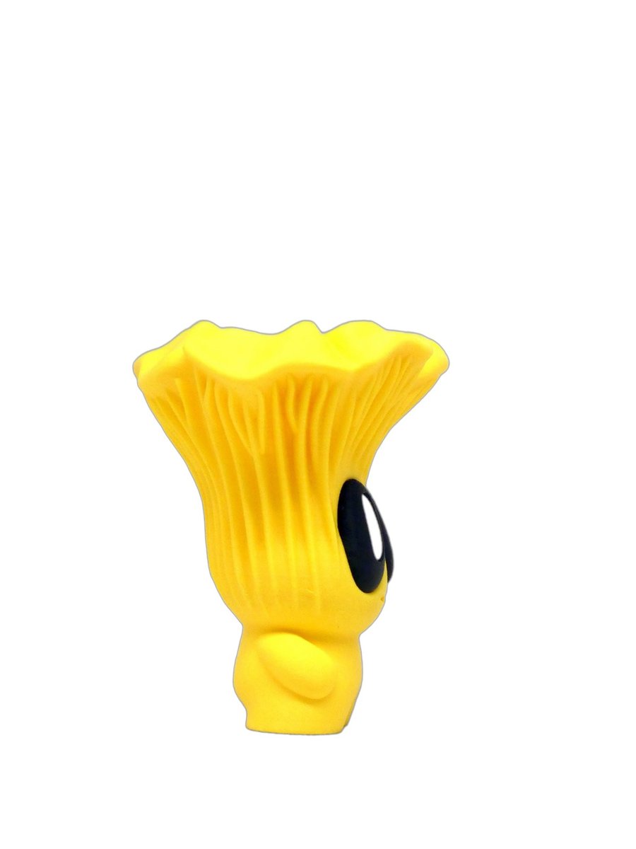 Chanterelle
