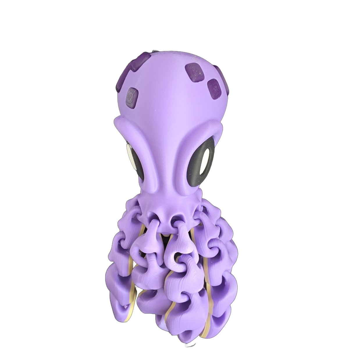 Octopus