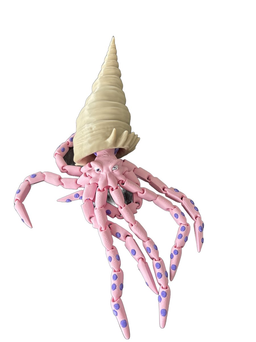 Finn the brigfin squid
