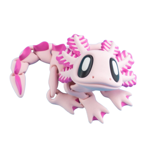 Axolotl