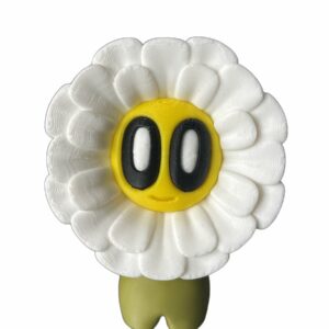 Paquerette