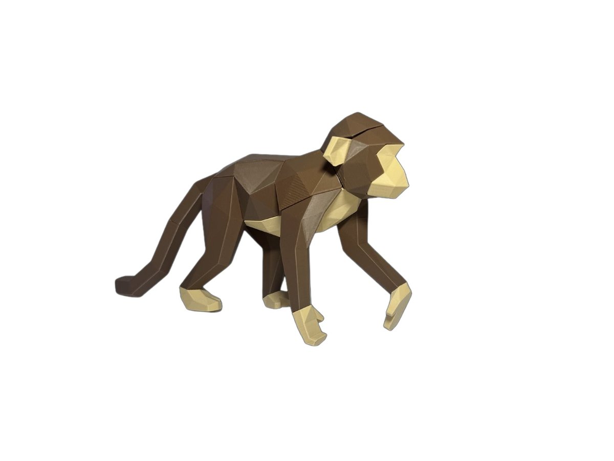 Monkey