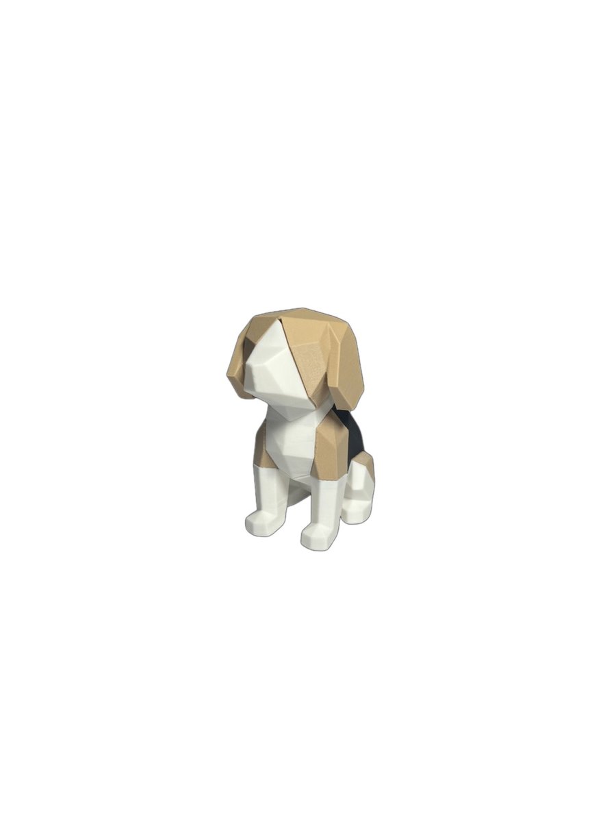 Beagle