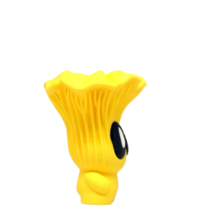 Chanterelle