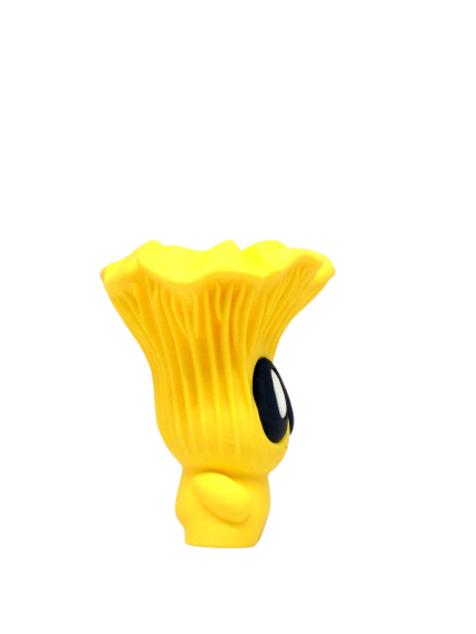 Chanterelle
