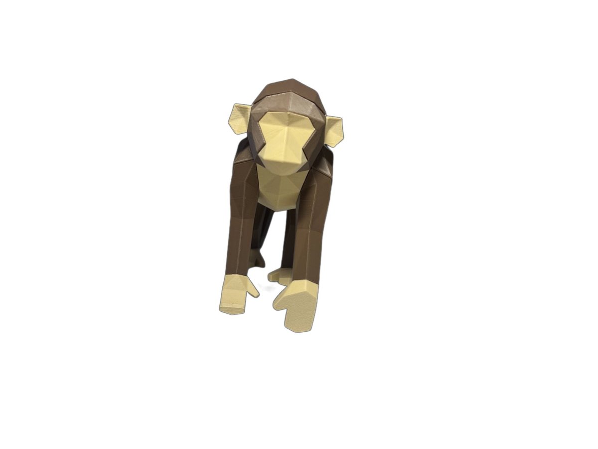 Monkey – Image 2