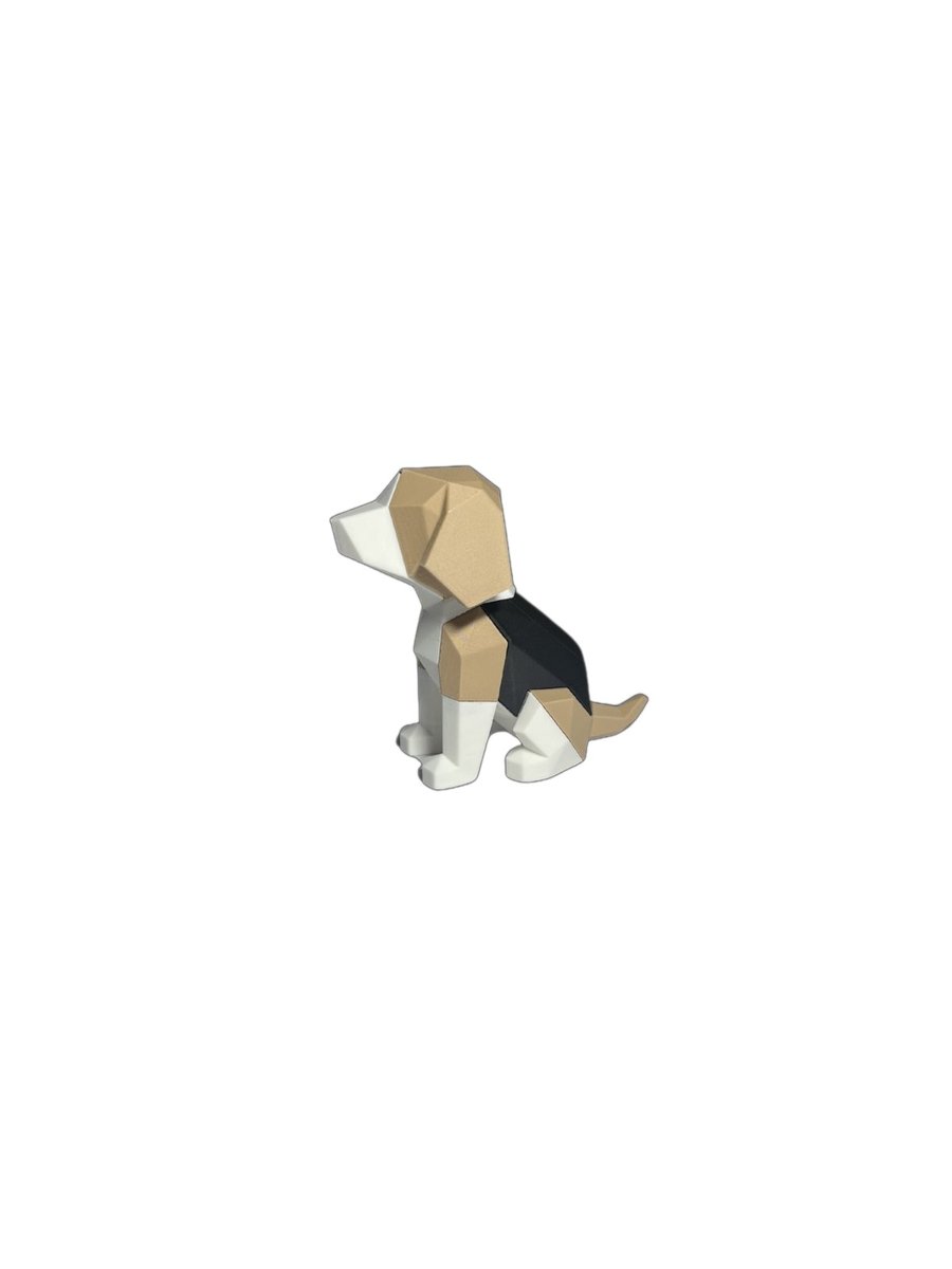 Beagle – Image 2