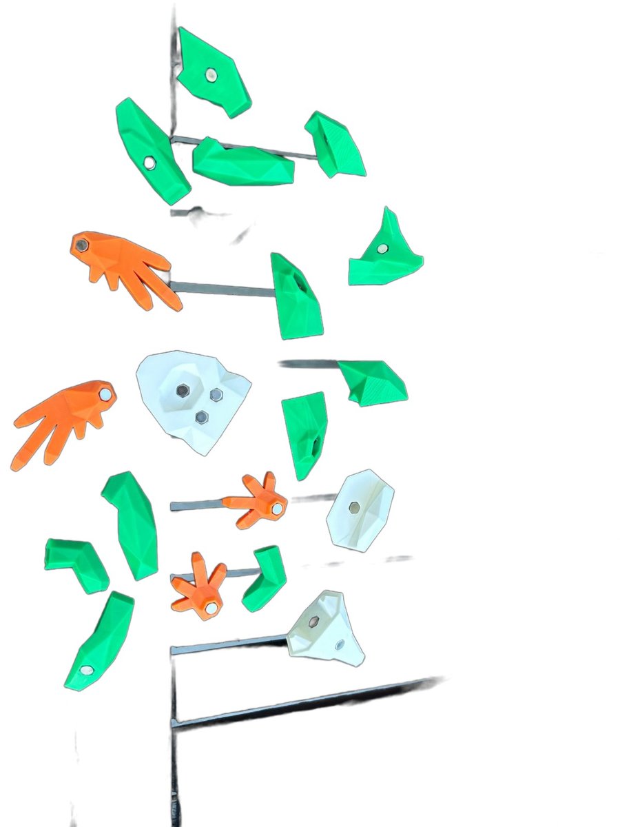 Frog – Image 2