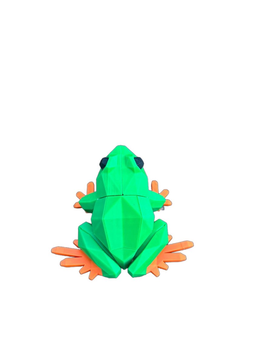 Frog – Image 3