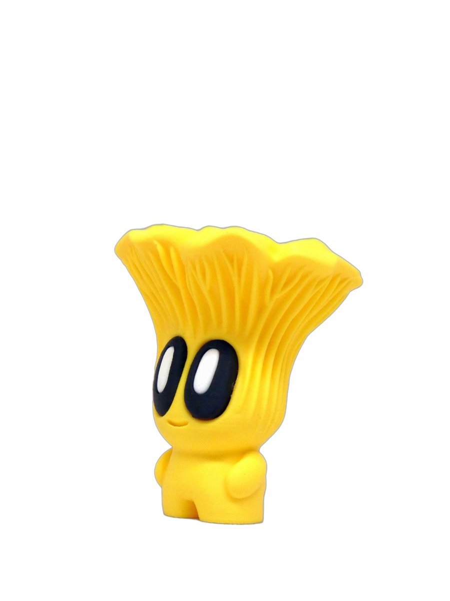Chanterelle – Image 3