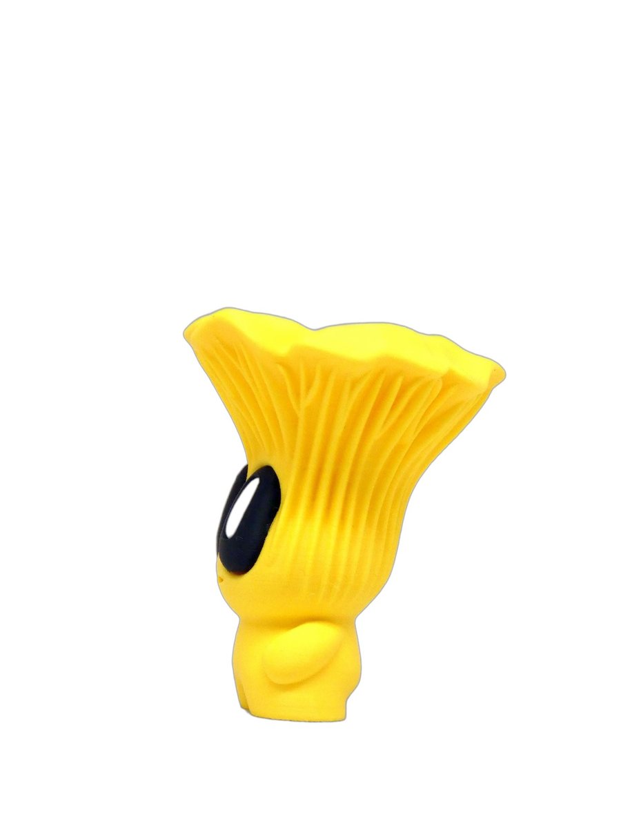 Chanterelle – Image 4