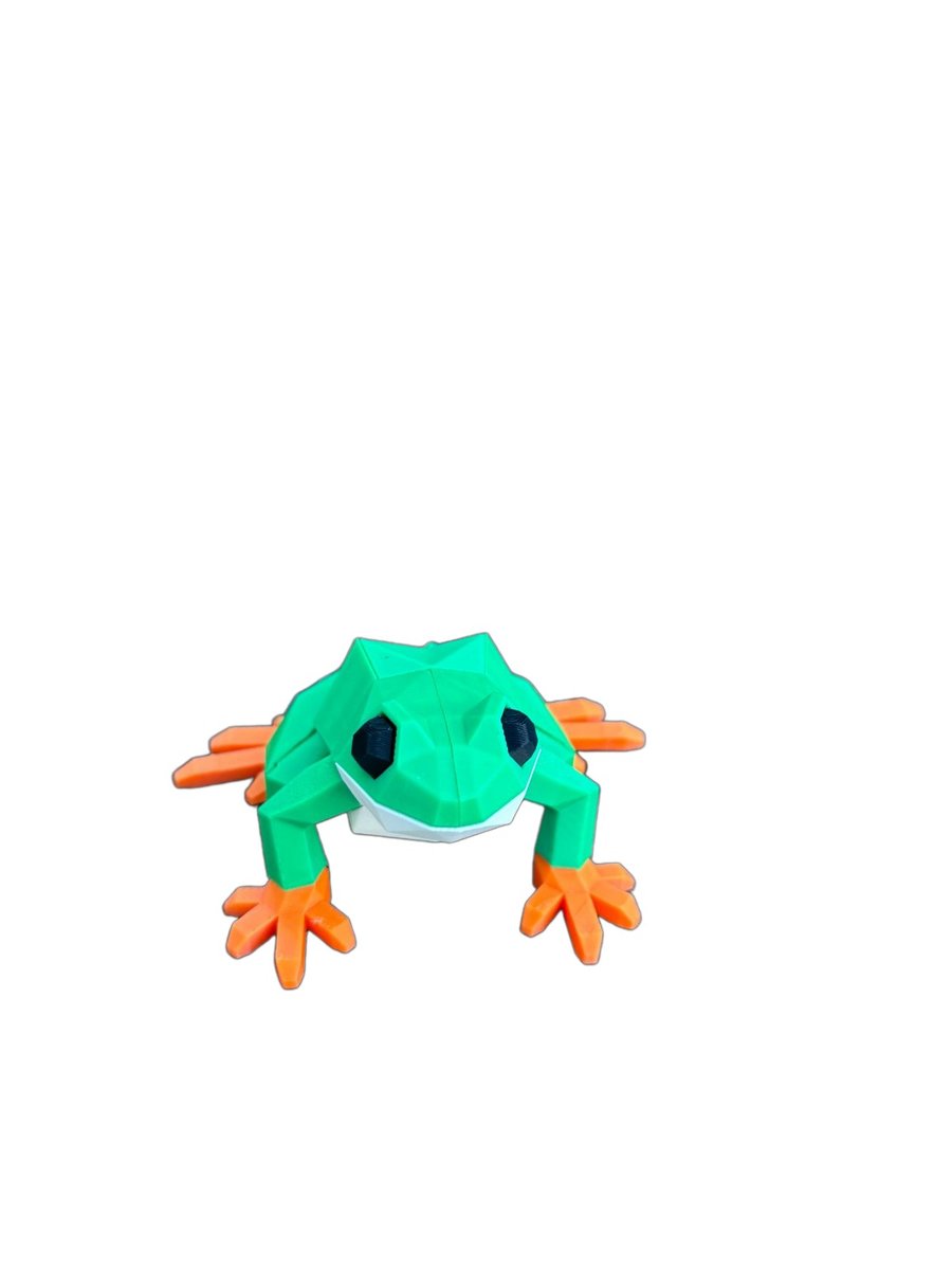 Frog – Image 4