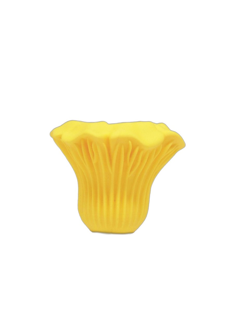 Chanterelle – Image 5
