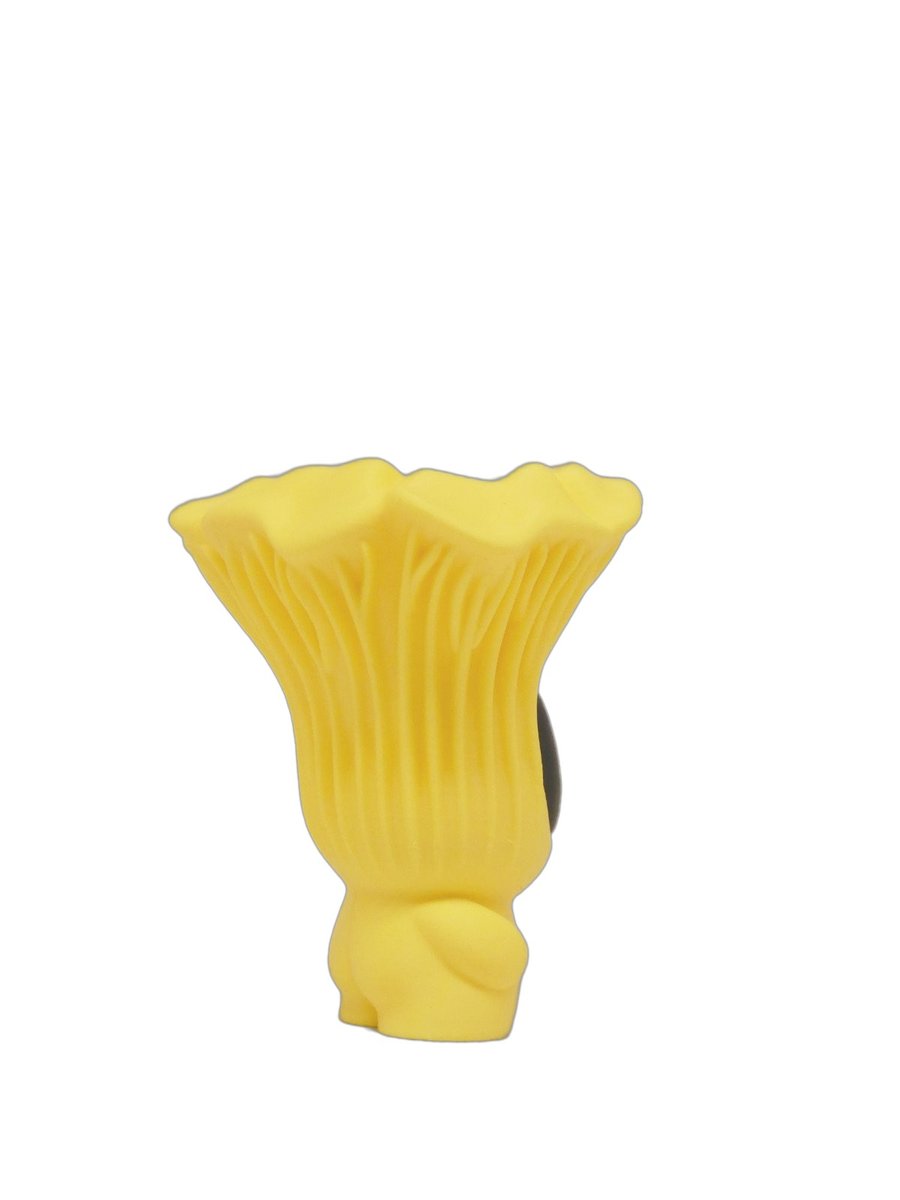 Chanterelle – Image 6