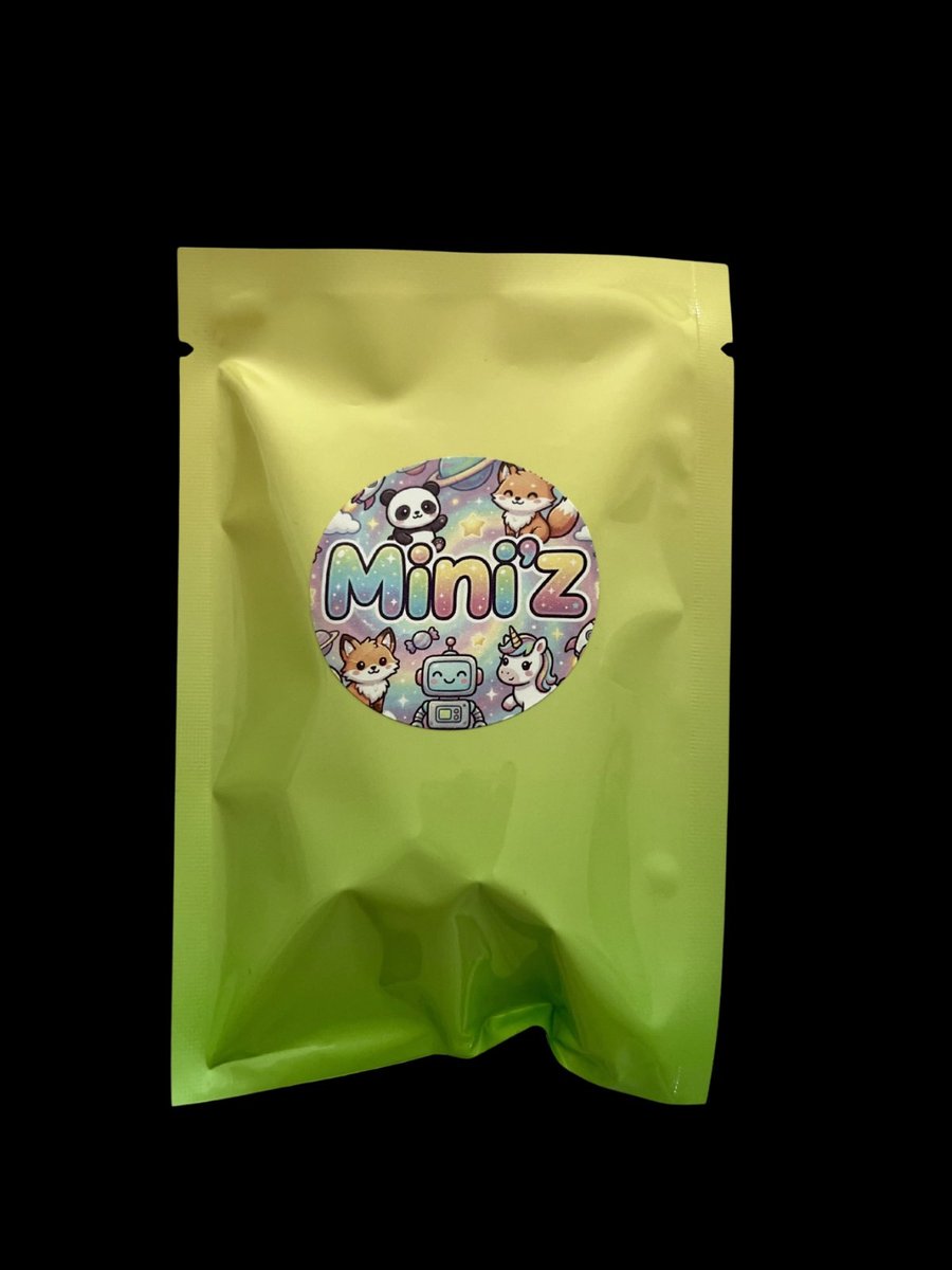 pochette MiniZ