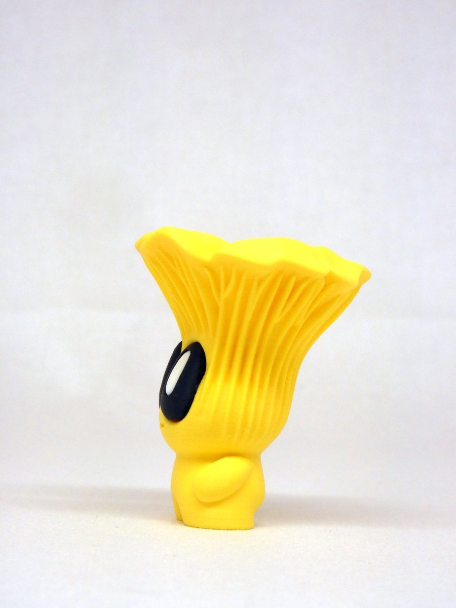 Chanterelle – Image 9