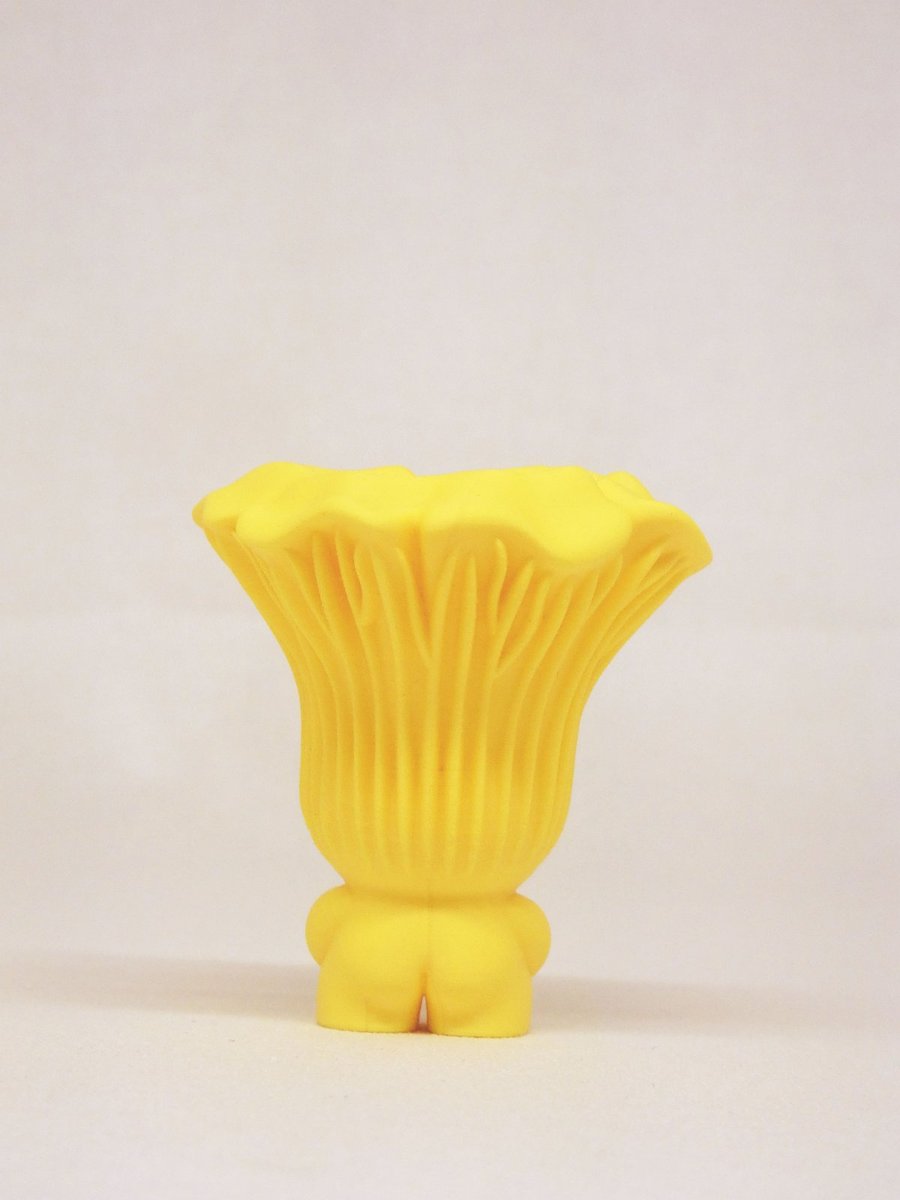 Chanterelle – Image 10