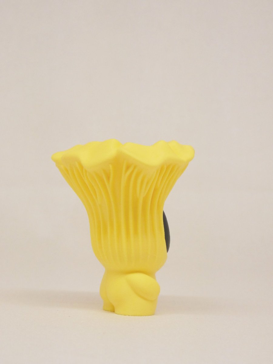 Chanterelle – Image 11